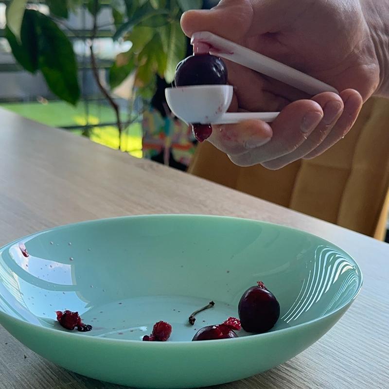 3D-gedruckter Kirschentkerner, – Kitchen Gadgets To 3D Print Bewertung und Preis